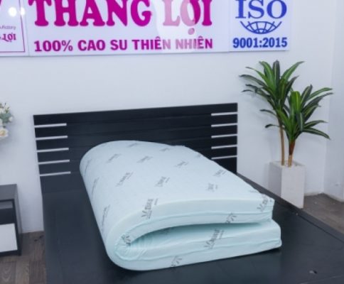 NỆM CAO SU HOẠT TÍNH THẮNG LỢI