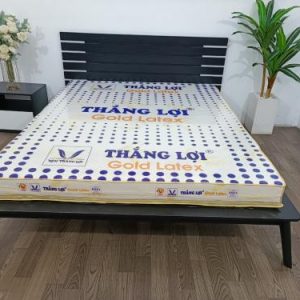 NỆM CAO SU GOLD LATEX THẮNG LỢI