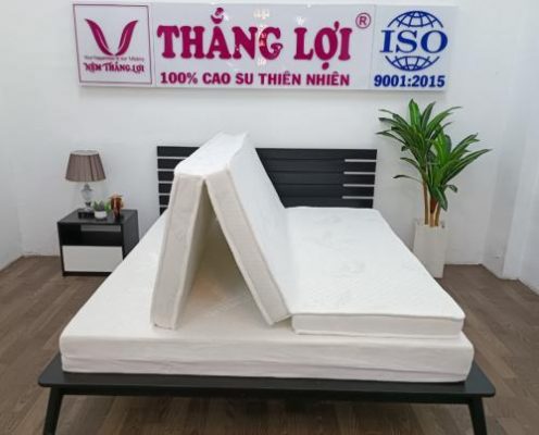 NỆM CAO SU WONDER FOAM GẤP 3