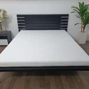 NỆM FOAM CAO CẤP THẮNG LỢI