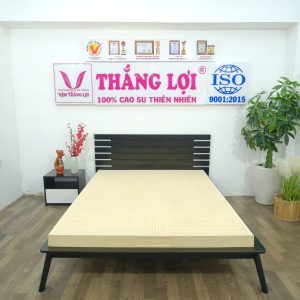 NỆM CAO SU 100% SISI – ADVANCED