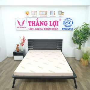 NỆM CAO SU 100% SISI – ADVANCED