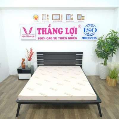 NỆM CAO SU 100% SISI – ADVANCED