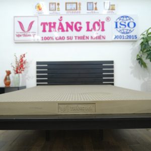 NỆM CAO SU 100% BOBO – THAN HOẠT TÍNH