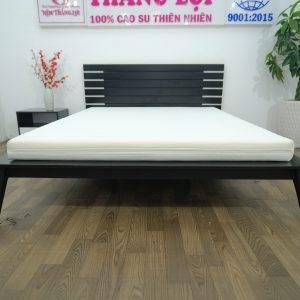 NỆM FOAM CAO CẤP THẮNG LỢI