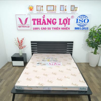 NỆM SUPER WIN FOAM HUẾ