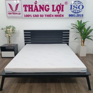 NỆM CAO SU WONDER FOAM THẮNG LỢI