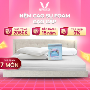 NỆM FOAM CAO CẤP THẮNG LỢI