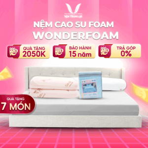NỆM CAO SU WONDER FOAM THẮNG LỢI