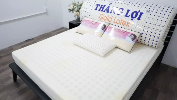NỆM CAO SU GOLD LATEX THẮNG LỢI