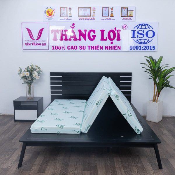 NỆM CAO SU THIÊN NHIÊN SUPER WIN GẤP 3