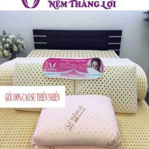 GỐI CAO SU THIÊN NHIÊN THẮNG LỢI