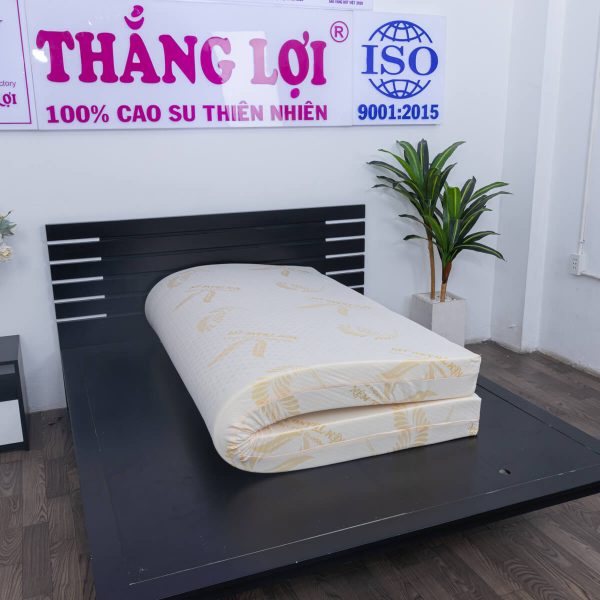 NỆM CAO SU GOLD LATEX THẮNG LỢI