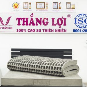 NỆM CAO SU 100% BOBO – THAN HOẠT TÍNH