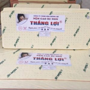 NỆM CAO SU NON THẮNG LỢI GẤP 3
