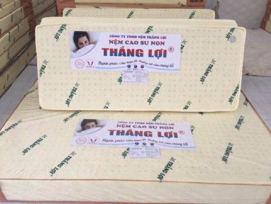 NỆM CAO SU NON THẮNG LỢI GẤP 3