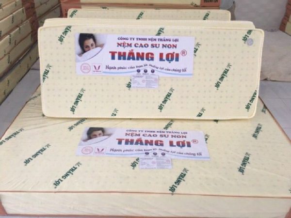 NỆM CAO SU NON THẮNG LỢI GẤP 3