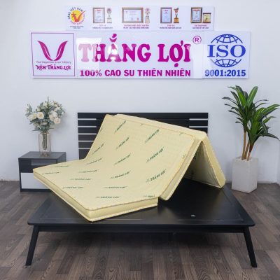 NỆM CAO SU NON THẮNG LỢI GẤP 3