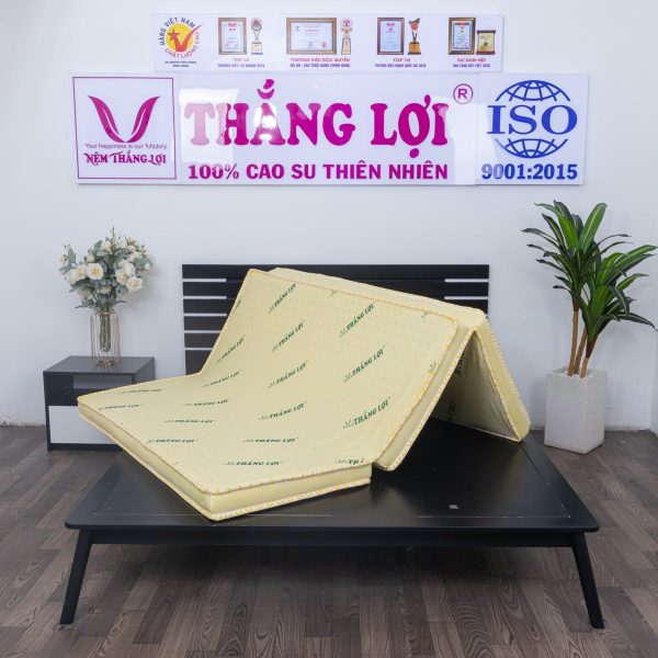 NỆM CAO SU NON THẮNG LỢI GẤP 3