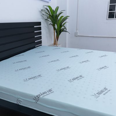 các loại nệm cao su
