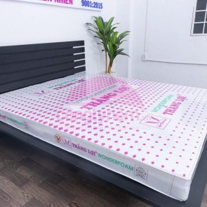 NỆM CAO SU WONDER FOAM THẮNG LỢI