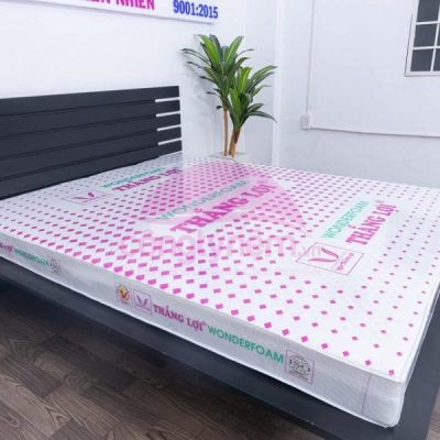 NỆM CAO SU WONDER FOAM THẮNG LỢI