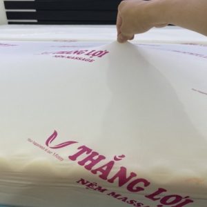 NỆM FOAM CAO CẤP MASSAGE THẮNG LỢI
