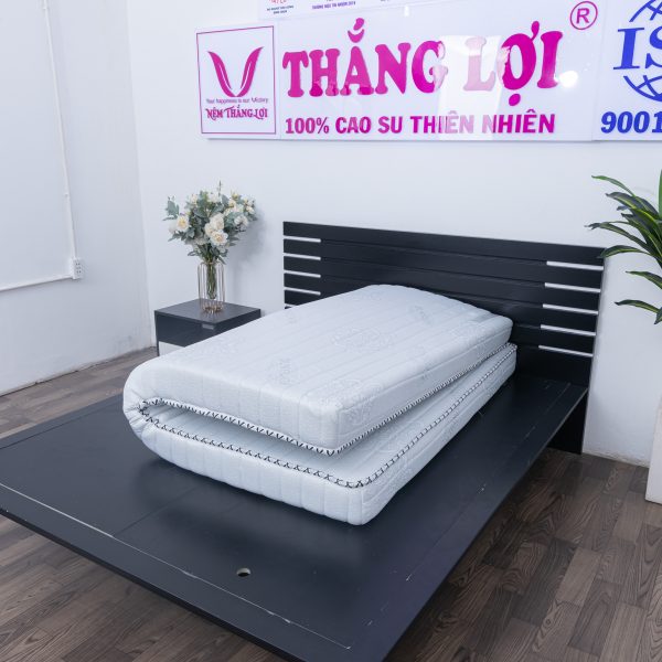 NỆM MEMORY FOAM THẮNG LỢI