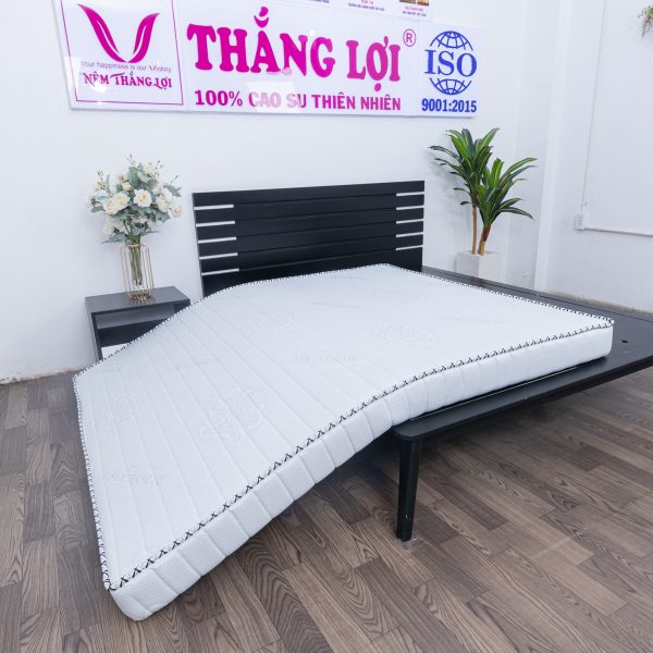 NỆM MEMORY FOAM THẮNG LỢI