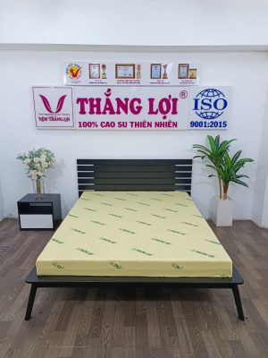 các loại nệm cao su