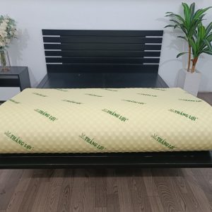 Nệm Cao Su Non Thắng Lợi