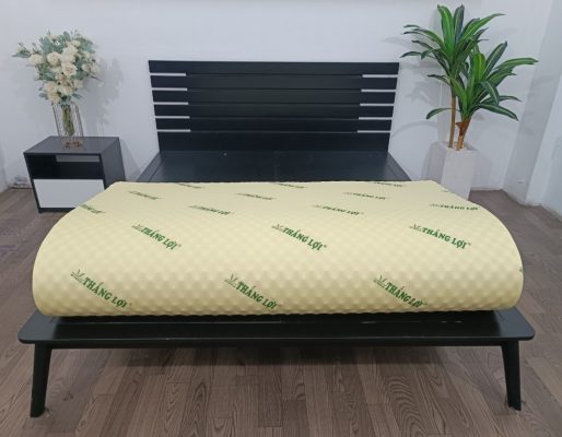 Nệm Cao Su Non Thắng Lợi