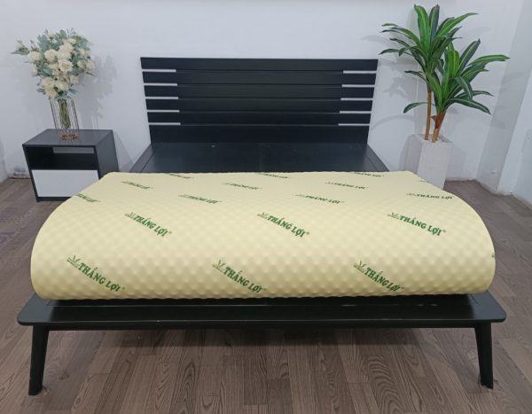 Nệm Cao Su Non Thắng Lợi