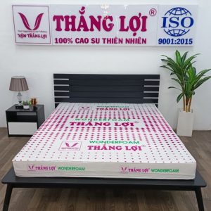 NỆM CAO SU WONDER FOAM THẮNG LỢI