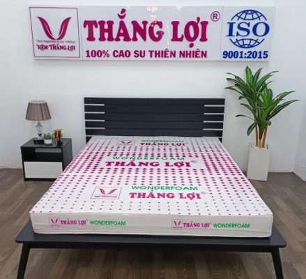 NỆM CAO SU WONDER FOAM THẮNG LỢI