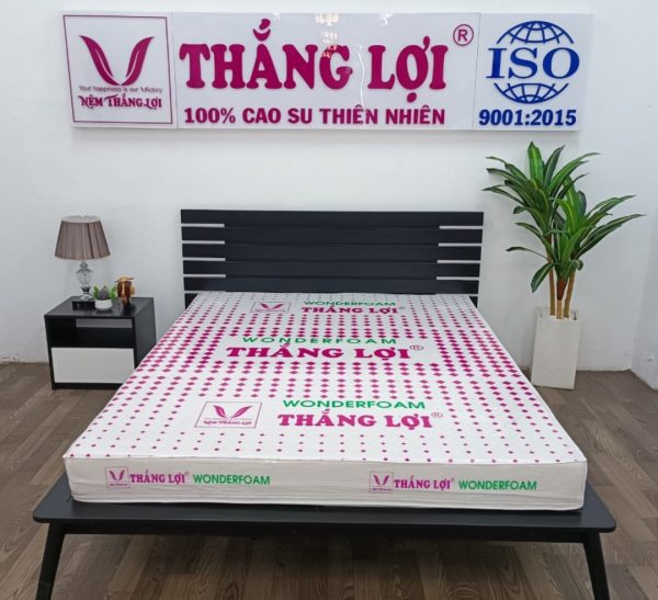 NỆM CAO SU WONDER FOAM THẮNG LỢI