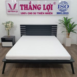 NỆM FOAM CAO CẤP THẮNG LỢI