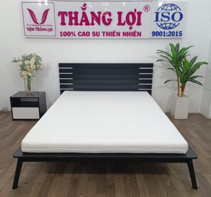 NỆM FOAM CAO CẤP THẮNG LỢI