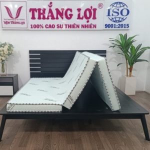 NỆM CAO SU HOẠT TÍNH GẤP 3