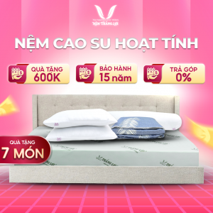 Nệm cao su hoạt tính Thắng Lợi 1m6 x 2m x 20cm