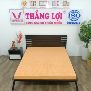 NỆM CAO SU 100% SUSU – ORIGINAL