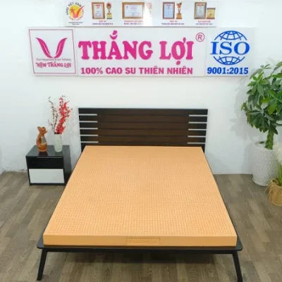 NỆM CAO SU 100% SUSU – ORIGINAL