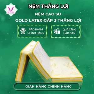 NỆM CAO SU GOLD LATEX GẤP 3
