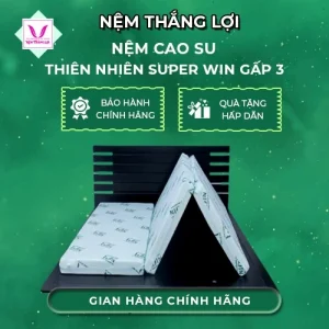 NỆM CAO SU THIÊN NHIÊN SUPER WIN GẤP 3