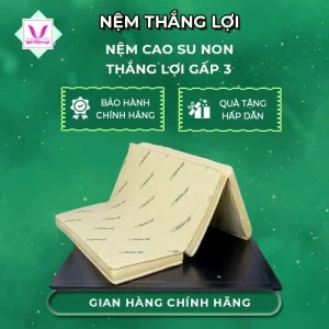 NỆM CAO SU NON THẮNG LỢI GẤP 3
