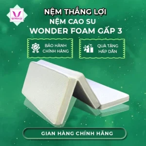 NỆM CAO SU WONDER FOAM GẤP 3