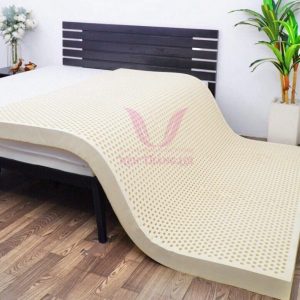NỆM CAO SU 100% TITI – DOUBLE FUNCTION