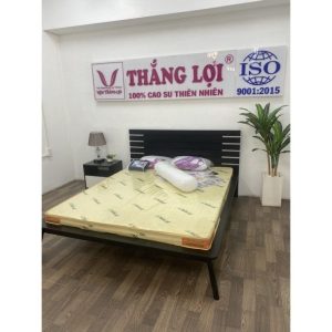 nệm cao su non thắng lợi 1m4 x 2m x 20cm