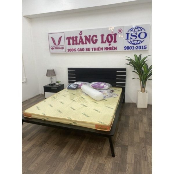 nệm cao su non thắng lợi 1m4 x 2m x 20cm