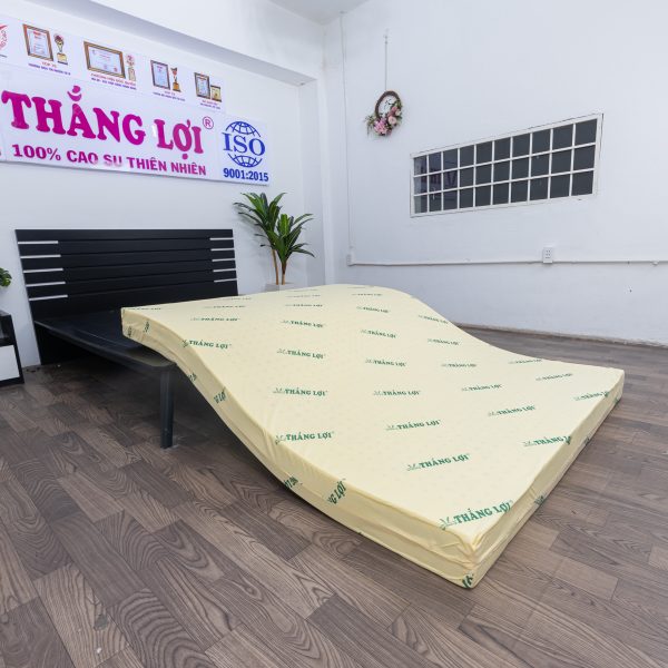 nệm cao su non thắng lợi 1m8 x 2m x 15cm
